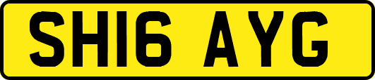 SH16AYG