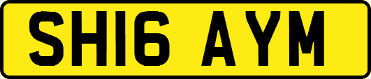 SH16AYM