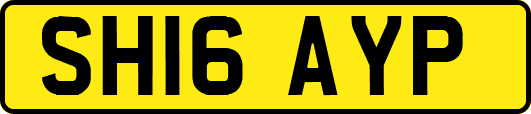 SH16AYP