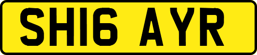 SH16AYR