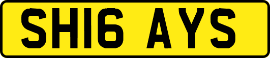 SH16AYS