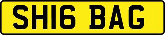 SH16BAG