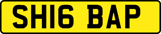 SH16BAP