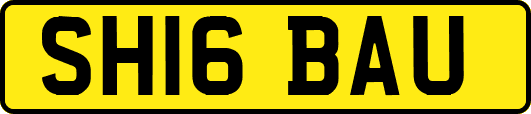 SH16BAU