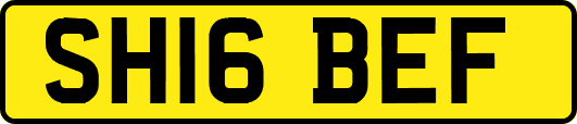SH16BEF