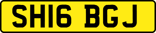 SH16BGJ