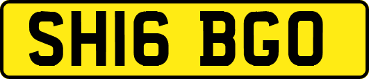 SH16BGO