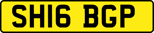 SH16BGP