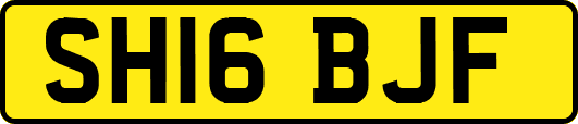 SH16BJF