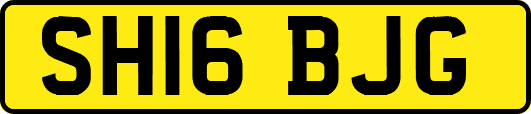 SH16BJG