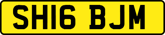 SH16BJM
