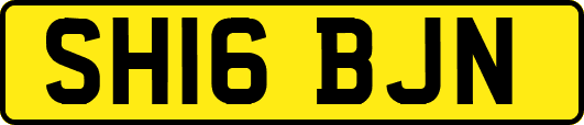 SH16BJN
