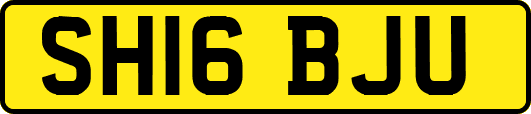 SH16BJU