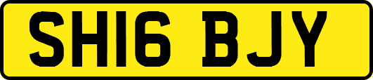 SH16BJY