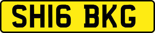 SH16BKG