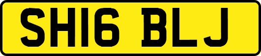 SH16BLJ