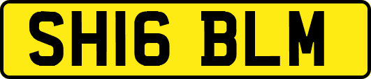 SH16BLM
