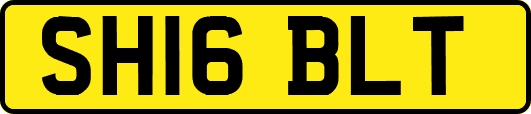 SH16BLT