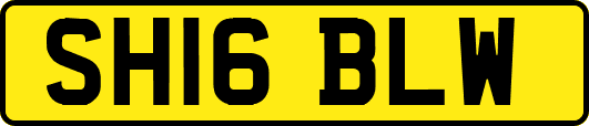 SH16BLW