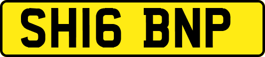 SH16BNP