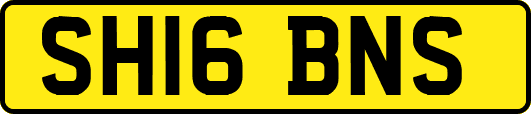SH16BNS