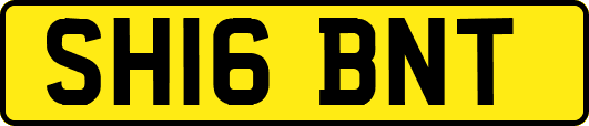 SH16BNT