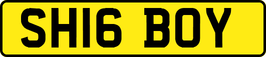 SH16BOY