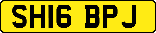 SH16BPJ