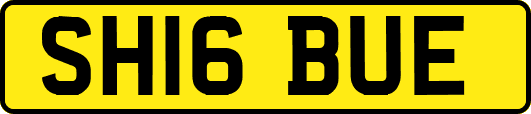SH16BUE