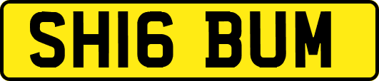 SH16BUM