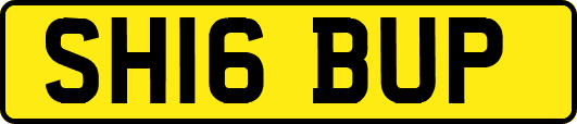 SH16BUP
