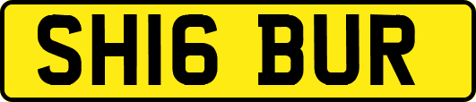 SH16BUR