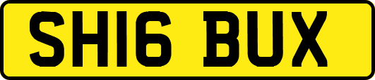 SH16BUX