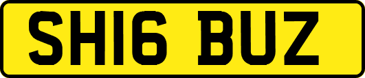 SH16BUZ