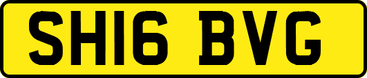 SH16BVG