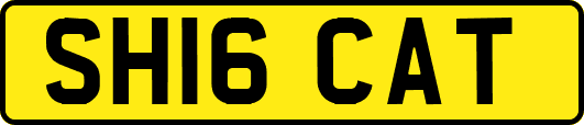 SH16CAT