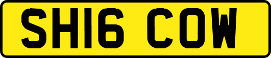 SH16COW