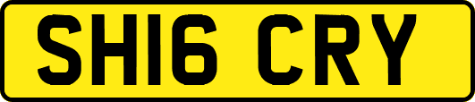 SH16CRY