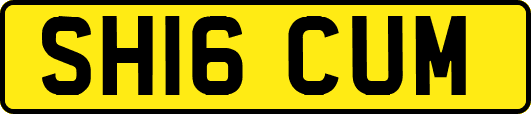 SH16CUM