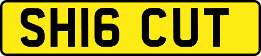SH16CUT