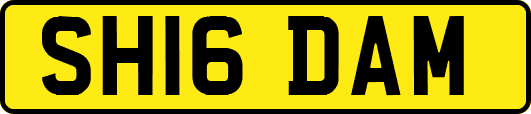 SH16DAM