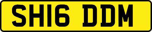 SH16DDM