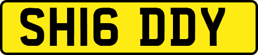 SH16DDY
