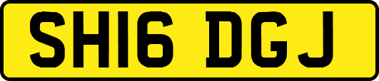 SH16DGJ