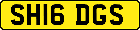 SH16DGS