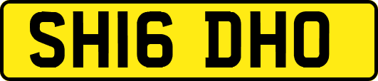 SH16DHO
