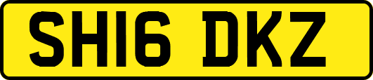 SH16DKZ