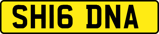 SH16DNA