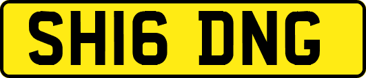 SH16DNG