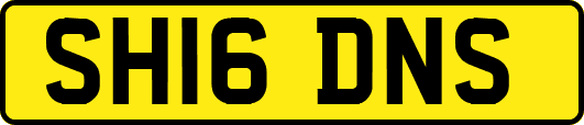 SH16DNS